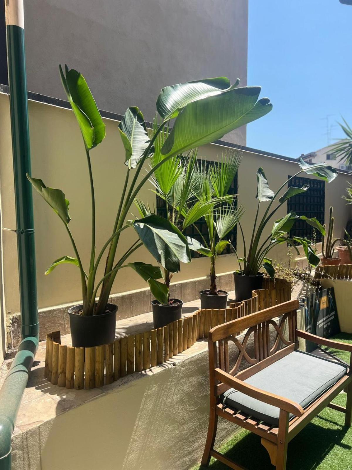 Al Borgo Apartment 卡塔尼亚 外观 照片